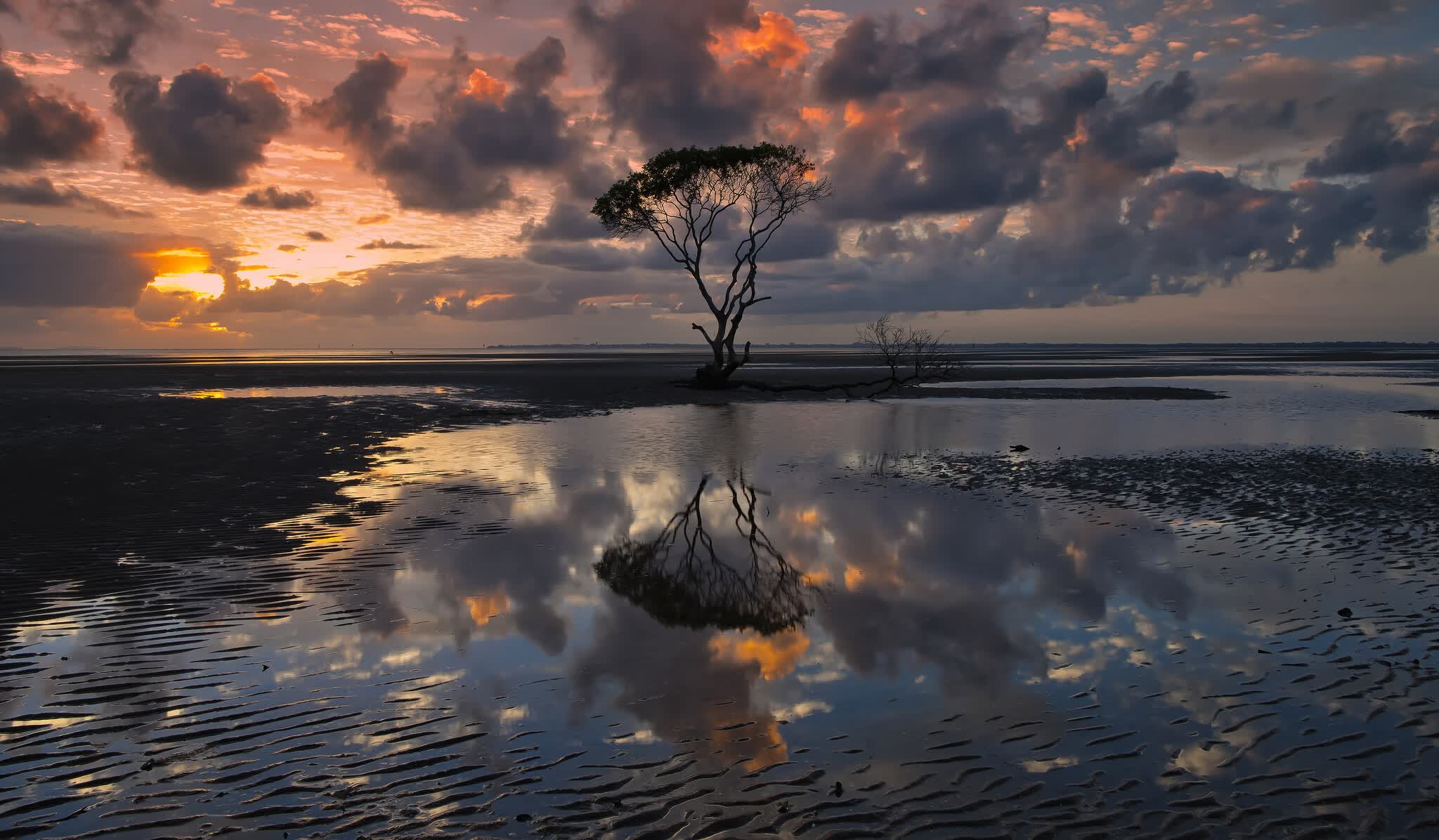 世界网球赛事观赛人群细分与精准营销策略白皮书,网球赛事分析